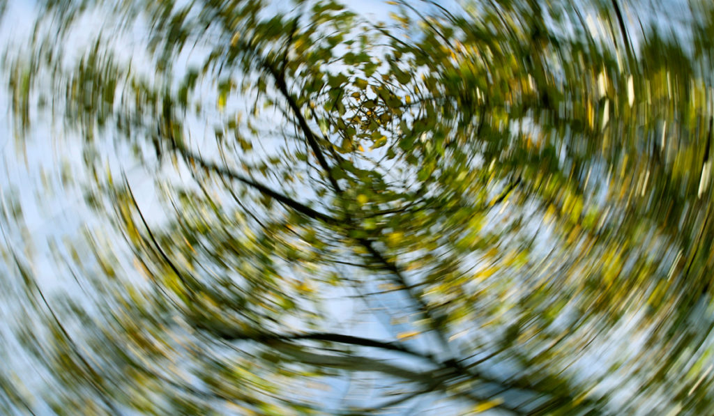 Lagerungsschwindel – Wenn sich die Welt plötzlich dreht