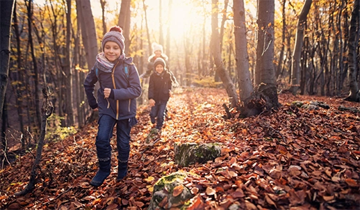 Mit gesundem Gehör durch den Herbst