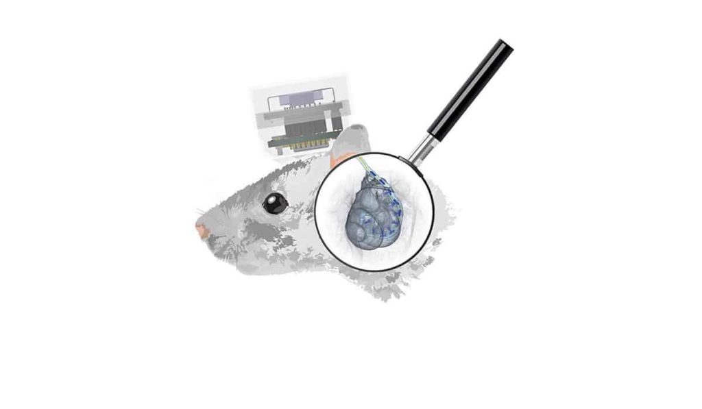 Cochlea-Implantat mit LED