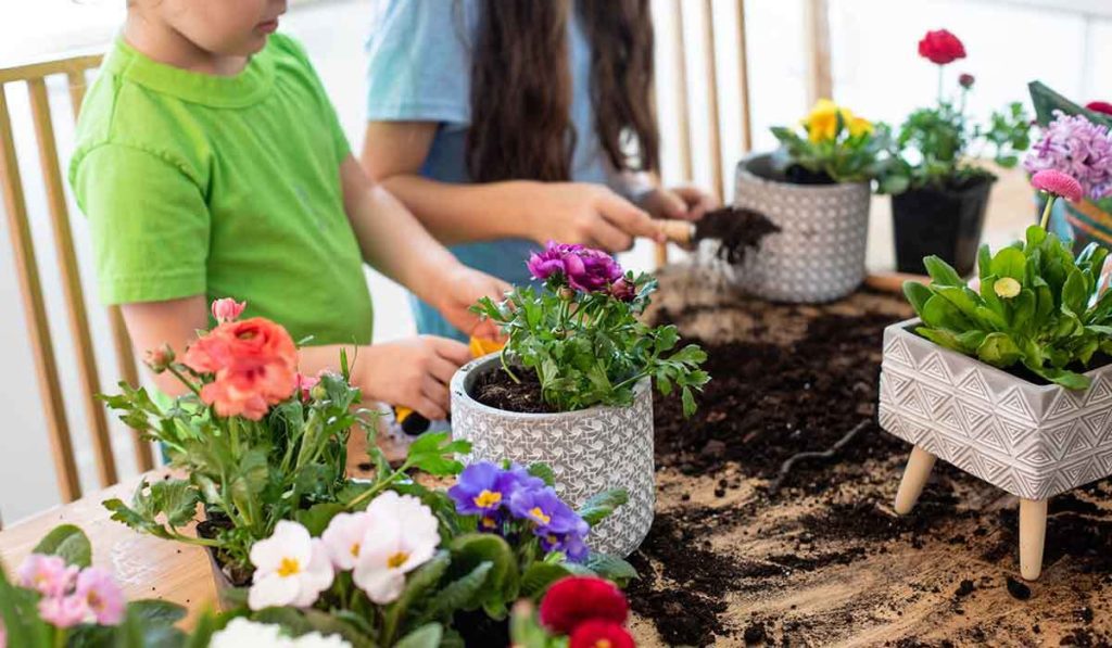 Können Pflanzen hören?