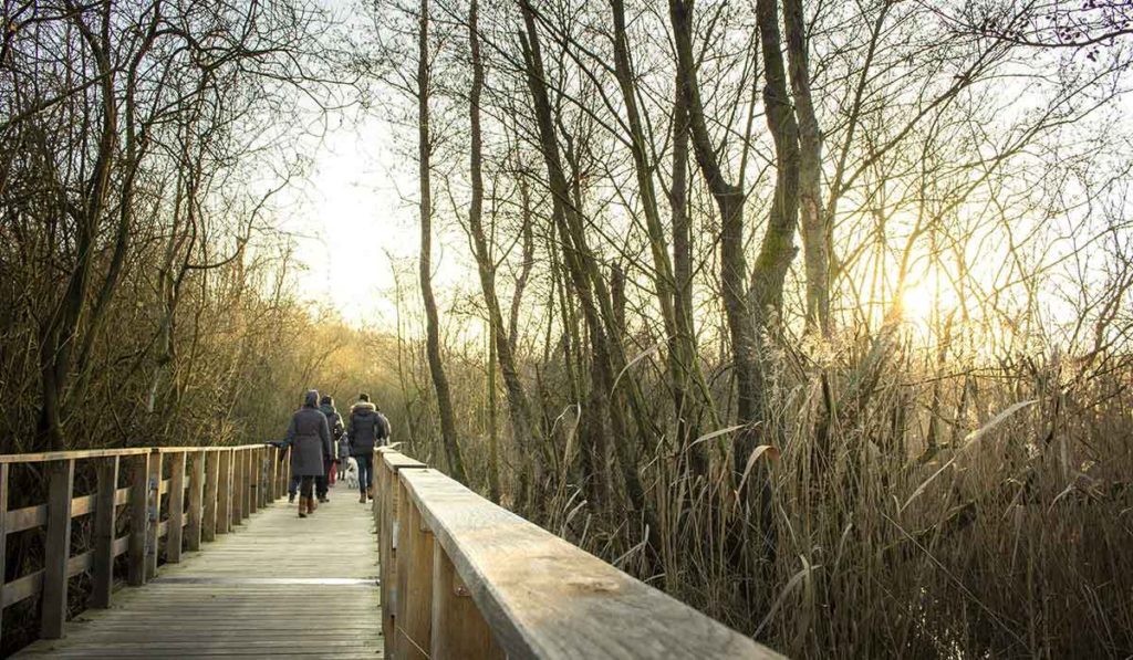 Hörspaziergang: Gemeinsam besser hören