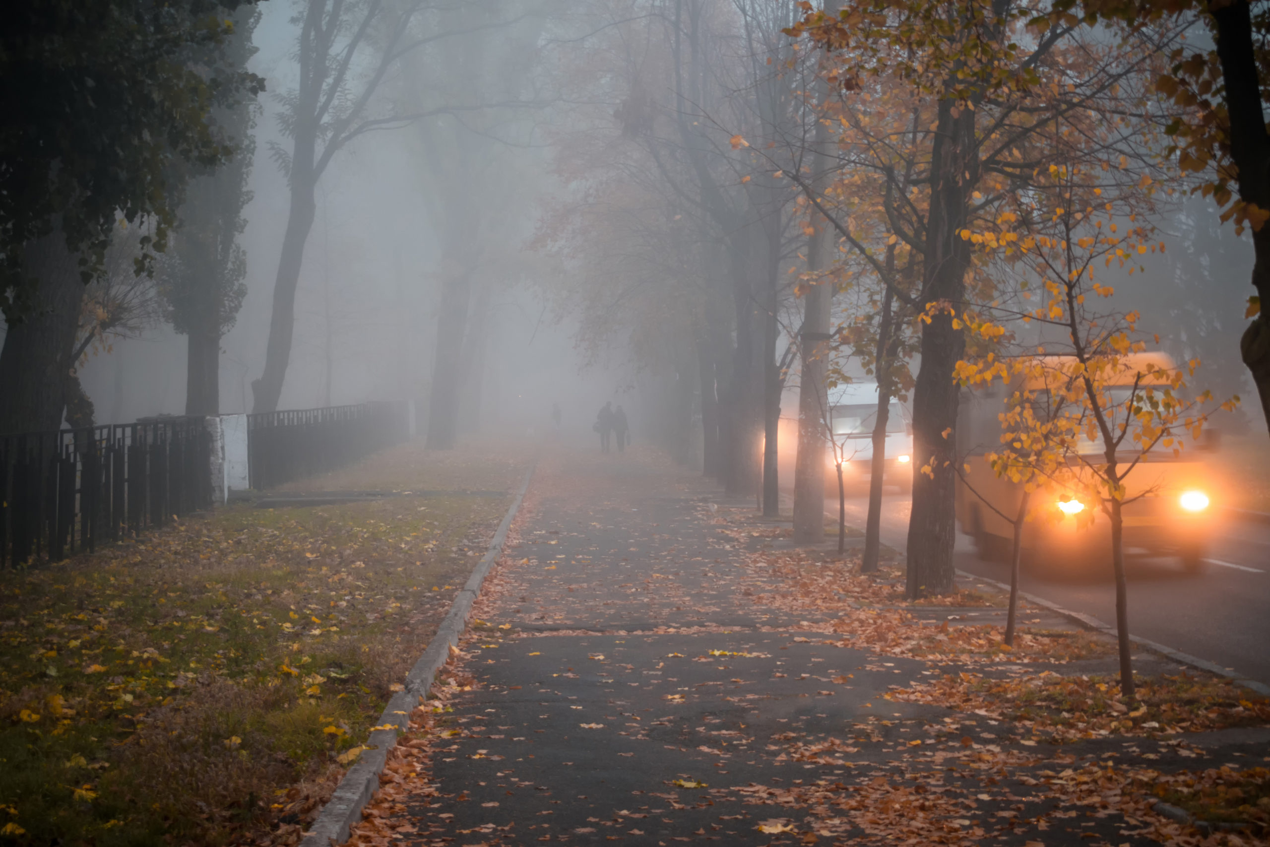 Autos fahren bei schlechten Sichtverhältnissen auf einer Herbststraße. Unscharfer Nebeleffekt. Der Bürgersteig mit zwei Spaziergängern liegt in dichtem Nebel. Schlechtes Wetter auf der Stadtstraße.
