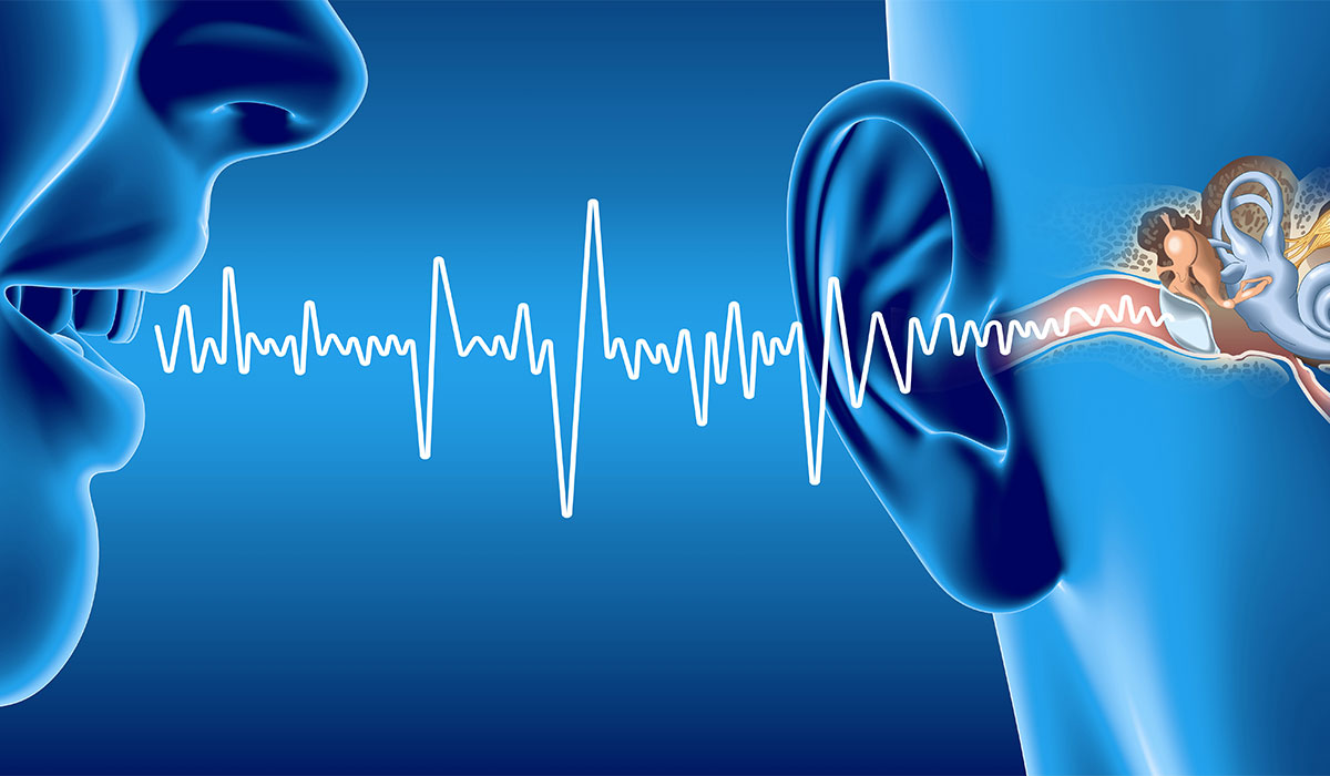 Forscher entwickeln künstliche Ohren