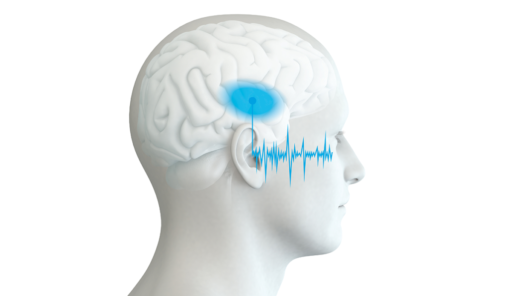 Warum hört unser rechtes Ohr besser?