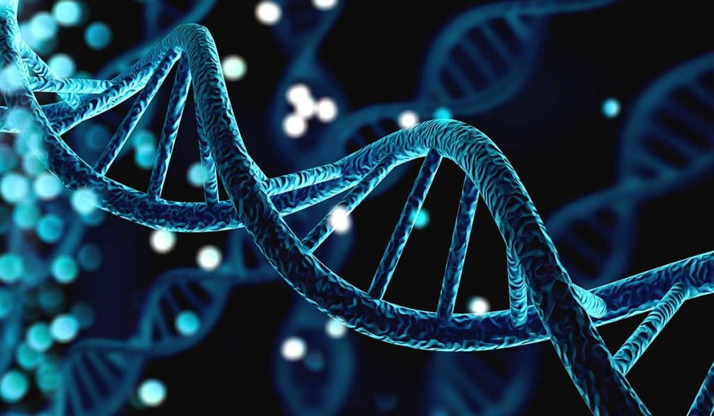 Nahaufnahme einer DNA-Zelle